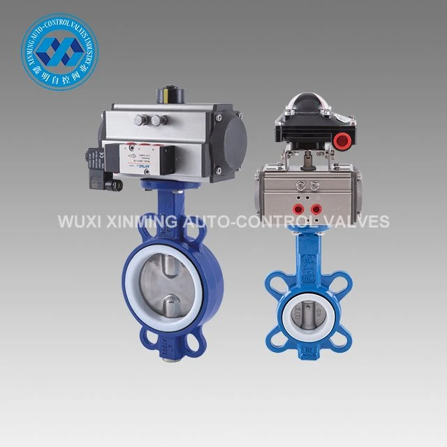 Van bướm sắt dễ uốn