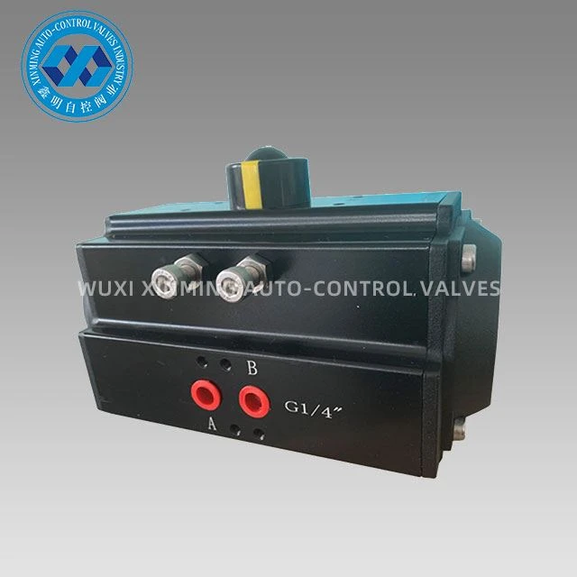 Giá nhôm đen đầy đủ và bộ truyền động khí nén Pinion