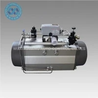 Thiết bị truyền động khí nén bánh răng và giá đỡ tác động kép