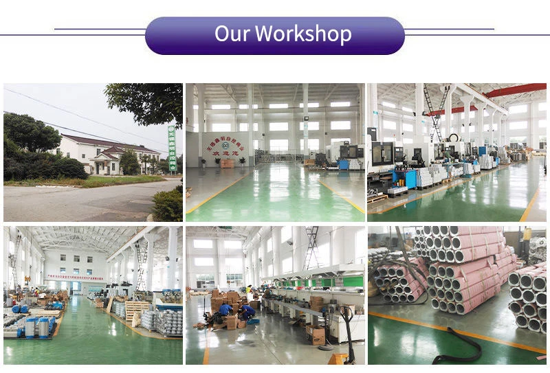 product-800-543 product-800-543