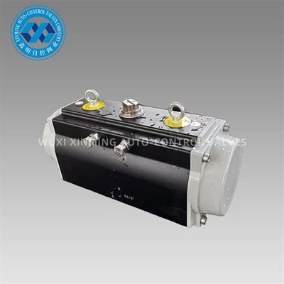 Thiết bị truyền động khí nén Anodized