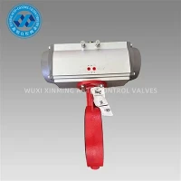 Thiết bị truyền động van bướm Bray