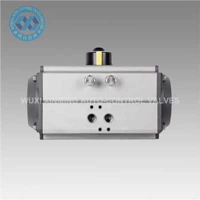 Nhà máy sản xuất bộ truyền động piston khí nén của nhà máy ở các bộ truyền động khí nén loạt