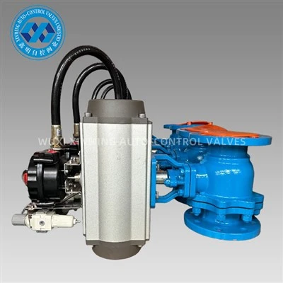 Van bi điều khiển bằng khí nén