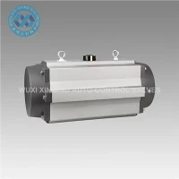 Bộ truyền động van khí nén cho các nhà máy xử lý nước