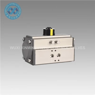 Bộ truyền động khí nén hành động đơn/kép