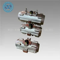 Bộ truyền động khí nén bằng thép không gỉ: Kháng ăn mòn mạnh, phù hợp cho môi trường khắc nghiệt.